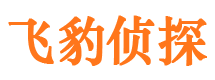 夏津市婚外情调查